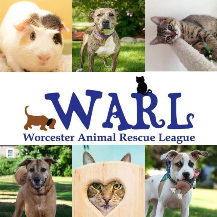 Worcester Animal Rescue League