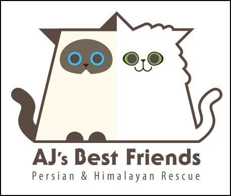 Ajs Best Friends Persian & Himalayan Rescue
