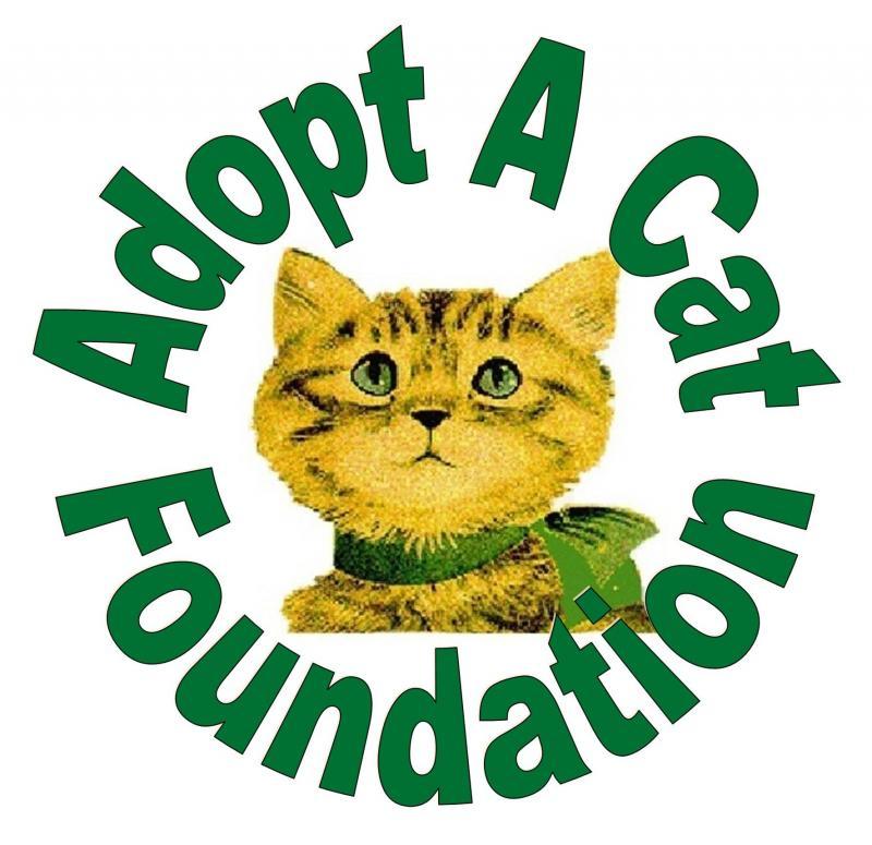 Adopt A Cat Foundation Inc
