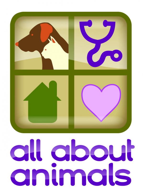 All About Animals Rescue