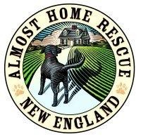 Almost Home Rescue Of Maine / New England