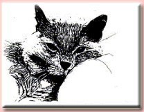 Animal Rescue And Adoption Society
