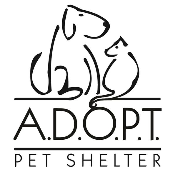 Animals Deserving Of Proper Treatment