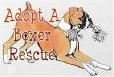 Adopt A Boxer Rescue