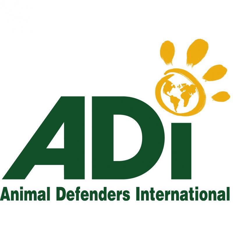 Animal Defenders International Us