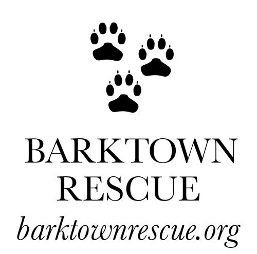 Barktown Animal Rescue