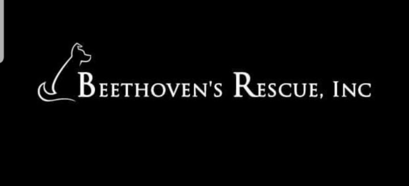 Beethovens Rescue Inc