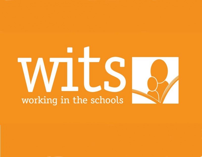 Working In The Schools