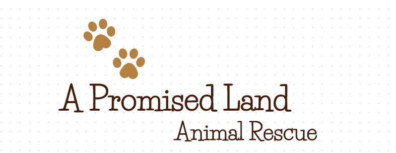 A Promised Land Animal Rescue, Inc.