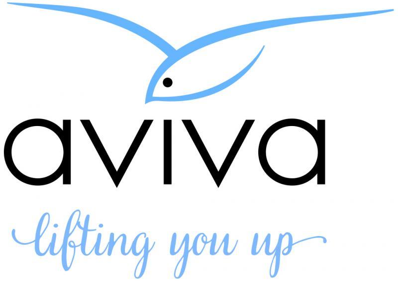Aviva Family And Children's Services