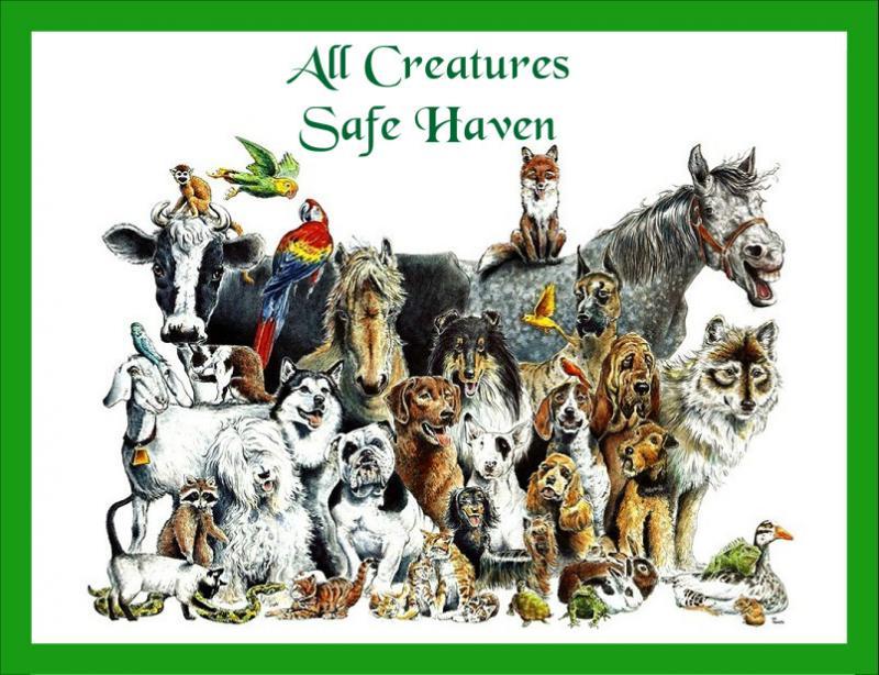 All Creatures Safe Haven