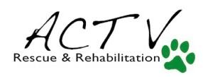 Act V Rescue & Rehabilitation
