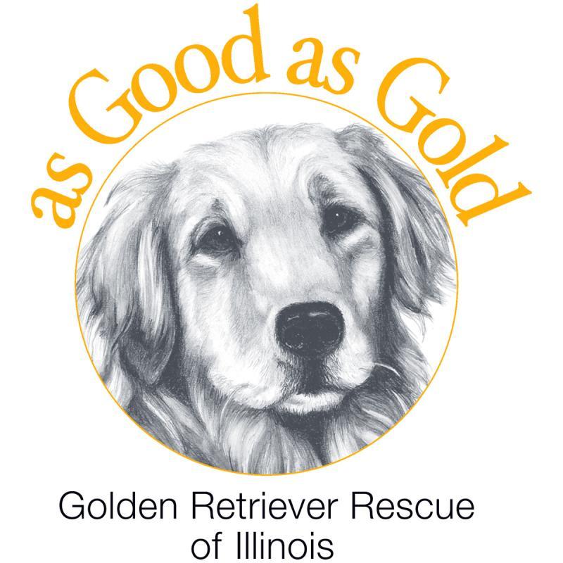 As Good As Gold-golden Retriever Rescue Of Illinois