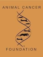 Animal Cancer Foundation