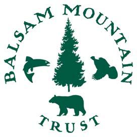 Balsam Mountain Trust