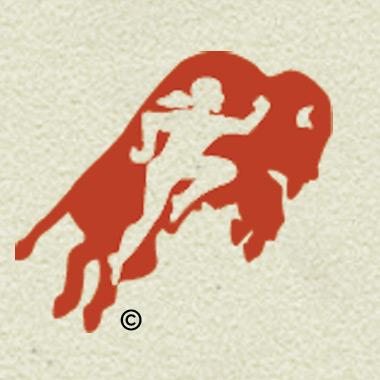 American Indian Youth Running Strong Aka Running Strong For American Indian Youth