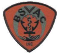 Bedford Stuyvesant Volunteer Ambulance Corps
