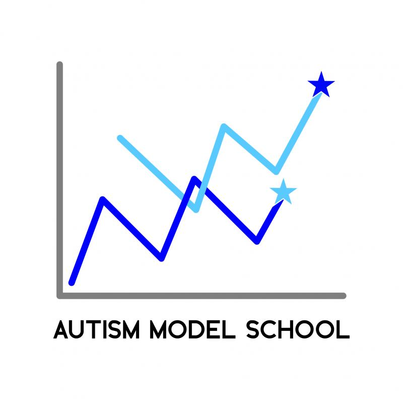 Autism Model Community School