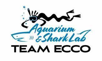 Aquarium & Shark Lab By Team Ecco
