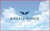 Angels Wings Transport