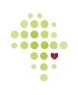 Acacia Of Hope
