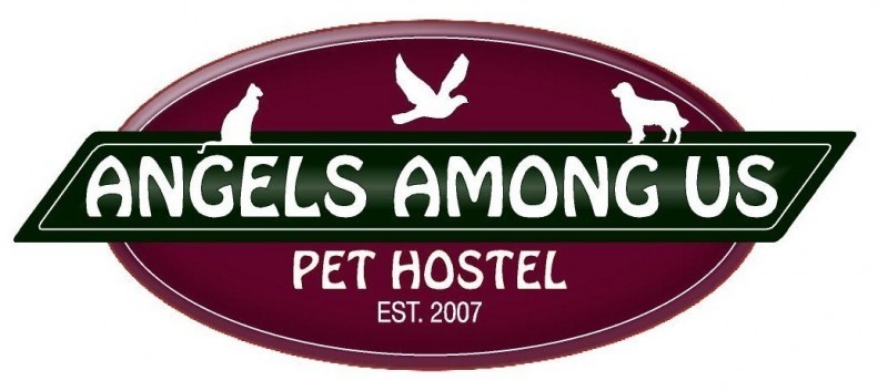 Angels Among Us Pet Hostel, Inc.