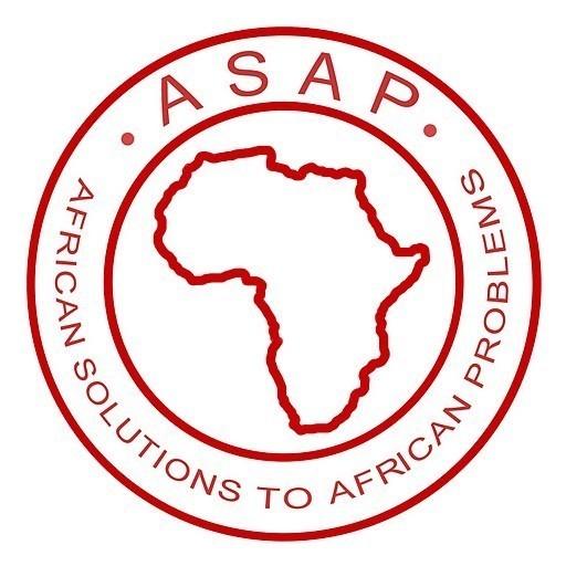African Solutions To African Problems