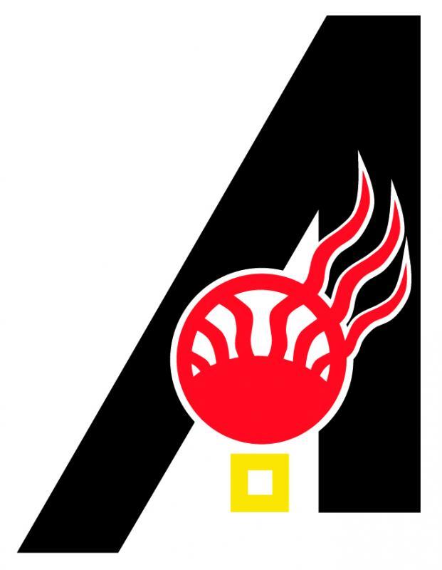 American Indian Science And Engineering Society