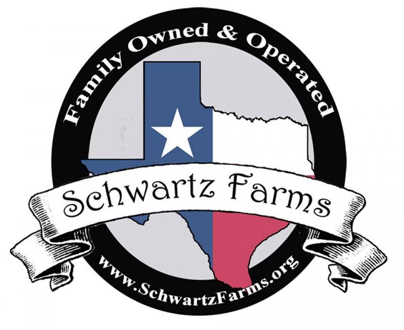 Andrew R Schwartz Foundation