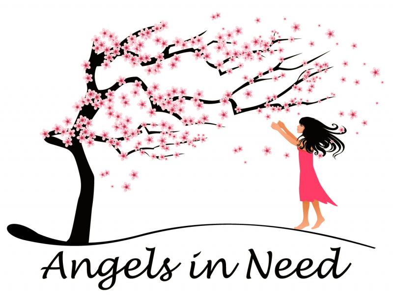 Angels In Need Inc