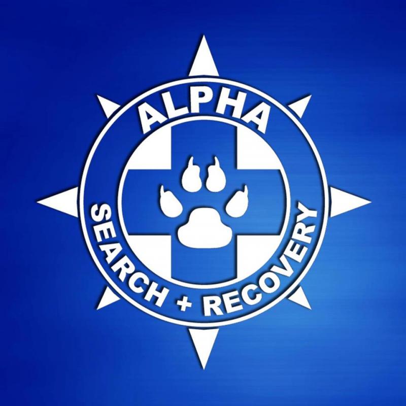 Alpha Search And Recovery