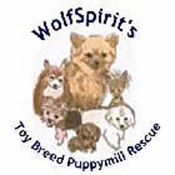 Wolfspirits Toy Breed Puppymill Rescue